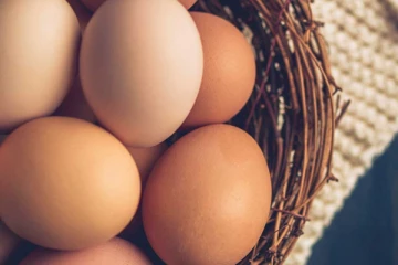 வரலாற்றில் முதல் முறையாக முட்டைக்கு வற் வரி