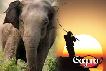 වන අලියෙකුගේ පහර දීමෙන් ධීවරයෙක් මරුට