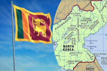 போர் காலத்தில் வடகொரியாவிடமிருந்து கொள்வனவு செய்யப்பட்ட ஆயுதங்கள்! நிதி அமைச்சர் தகவல்