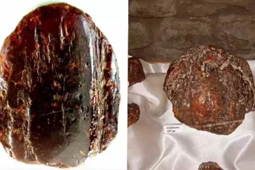 ரூ.9 கோடி மதிப்புள்ள அதிர்ஷ்ட கல் - வீட்டு வாசப்படியாக யூஸ் செய்த மூதாட்டி!