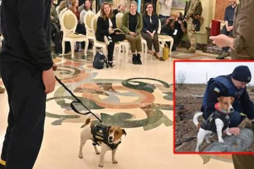 200 கன்னி வெடிகளை கண்டறிந்த மோப்ப நாய் பேட்ரனுக்கு பதக்கம்