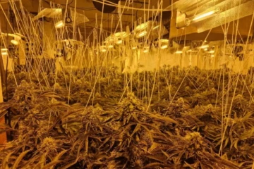 இங்கிலாந்தில் பொலிசாருக்கு கிடைத்த ரகசிய தகவல்: வீடொன்றில் பொலிசார் கண்ட காட்சி