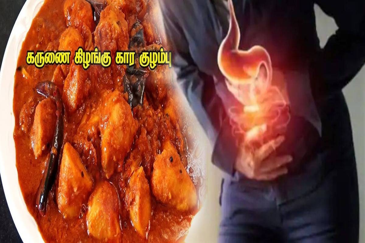 அஜீரணக் கோளாறுகளுக்கு தீர்வு கொடுக்கும் கருணை கிழங்கு குழம்பு! இப்படி செய்து பாருங்க | Amazing Health Benefits Karunai Kizhangu Curry அஜீரணக் கோளாறுகளுக்கு தீர்வு கொடுக்கும் கருணை கிழங்கு குழம்பு! இப்படி செய்து பாருங்க | Amazing Health Benefits Karunai Kizhangu Curry