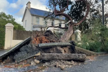 உயிர் பலி வாங்கிய Éowyn புயல்: பிரித்தானியாவில் இருளில் மூழ்கிய ஆயிரக்கணக்கான வீடுகள்