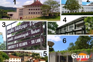 සරසවි අධ්‍යයන කාර්ය මණ්ඩල හිස්තැන් පිරවීමට කටයුතු