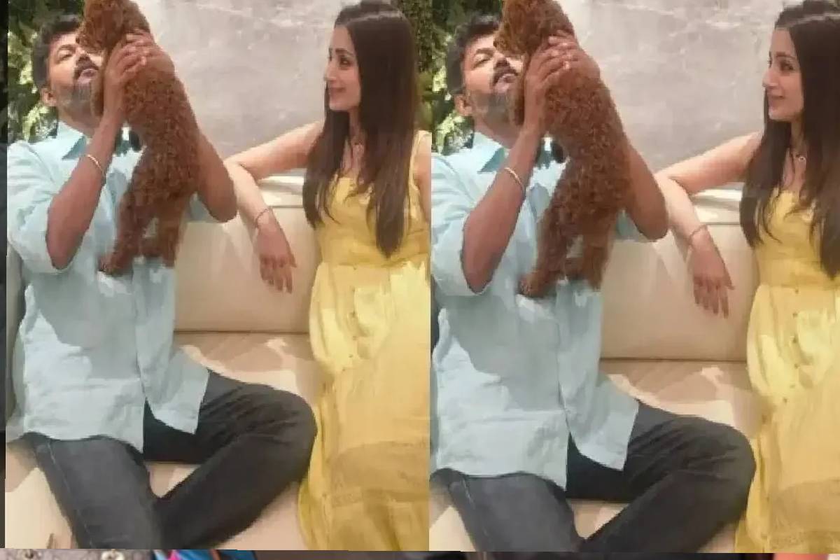 செம கியூட்டா இருக்கே... மகளின் புகைப்படத்துடன் ஈஸ்டர் வாழ்த்து சொன்ன த்ரிஷா! | Trisha Post About Daughter Izzys Easter Look செம கியூட்டா இருக்கே... மகளின் புகைப்படத்துடன் ஈஸ்டர் வாழ்த்து சொன்ன த்ரிஷா! | Trisha Post About Daughter Izzys Easter Look