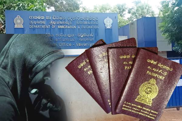 வவுனியாவில் திடீரென மரத்தில் ஏறி தற்கொலை முயற்சி செய்த நபரால் பதற்றம் - ஐபிசி தமிழ்