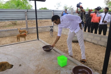 நாய்களுக்கு அடைக்கலம் கொடுக்கும் ஆளுநர் செந்தில் தொண்டமான்