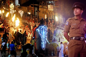 கண்டி பெரஹராவுக்குள் வாளுடன் புகுந்து பரபரப்பை ஏற்படுத்திய கொழும்பு நபர்