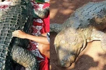 130 வயது முதலைக்கு இறுதிச் சடங்கு நடத்தி நினைவுச்சின்னம் .., எந்த கிராமத்தில் நடந்தது?