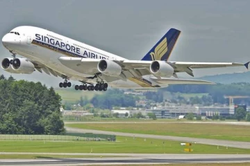 சிங்கப்பூர் எயார்லைன்ஸில் இலங்கை வந்த பயணியொருவர் கைது