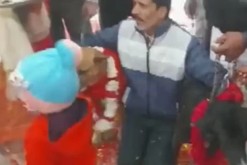 ஆண் நாய்க்கும், பெண் நாய்க்கும் கோலாகலமாக நடந்த திருமணம்! வைரலாகும் வீடியோ