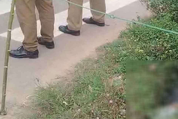 தபால் பெட்டிக்கருகில் மீட்கப்பட்ட சடலத்தால் பரப்ரப்பு | Discovery Of A Body Near A Postbox Caused A Stir