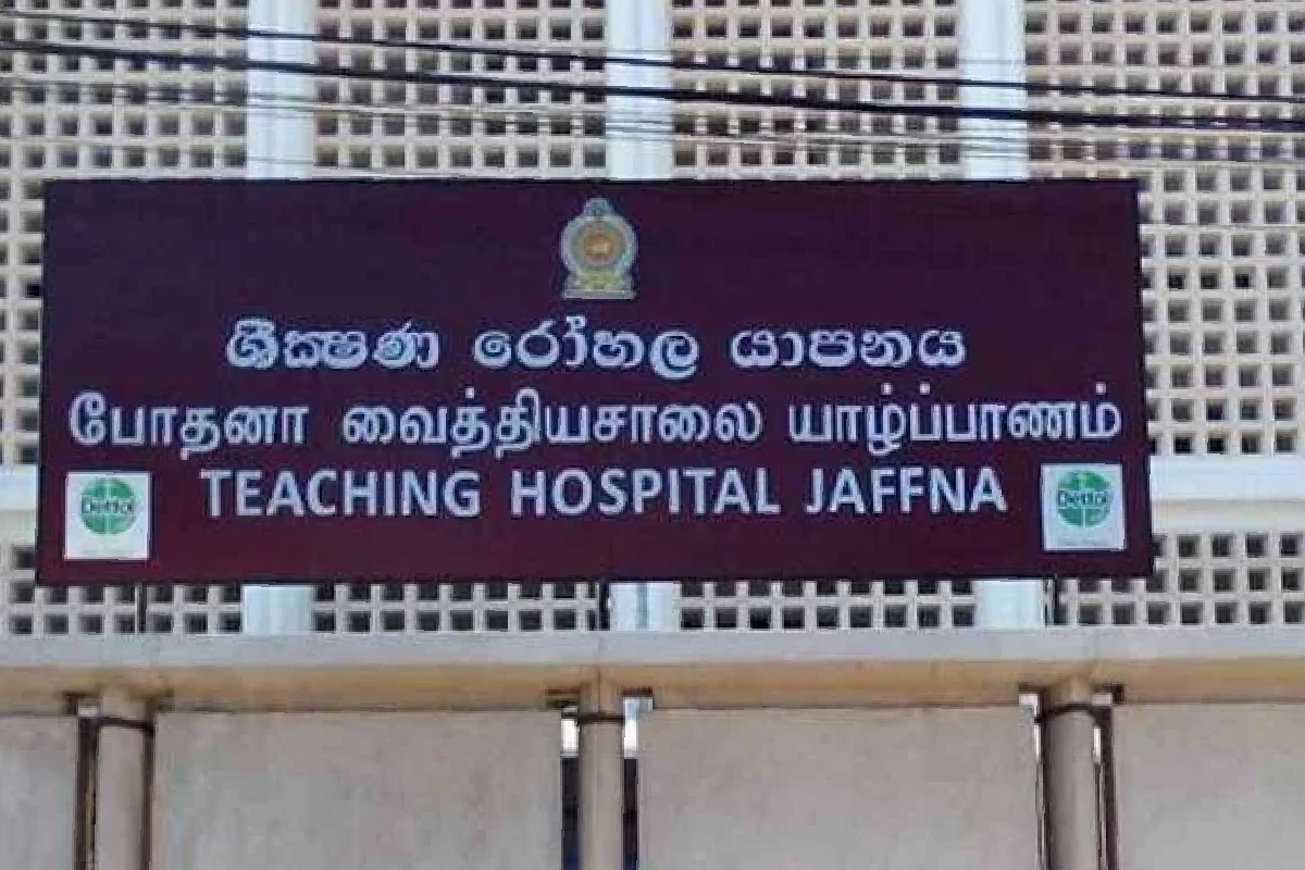 யாழில் முதியவர் ஒருவர் தவறான முடிவெடுத்து உயிர் மாய்ப்பு! | Elderly Man In Jaffna Commits Wrong Decision யாழில் முதியவர் ஒருவர் தவறான முடிவெடுத்து உயிர் மாய்ப்பு! | Elderly Man In Jaffna Commits Wrong Decision