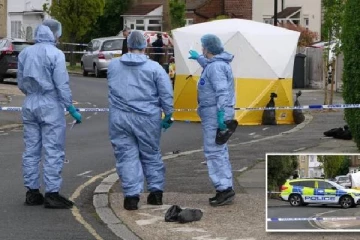 லண்டன் சாலையில் கத்திக்குத்து: 10 பேரை அதிரடியாக கைது செய்த பொலிஸார்