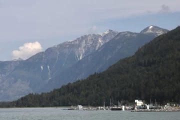 பிரிட்டிஷ் கொலம்பியாவில் கரடி தாக்குதல் ; பலர் காயம்