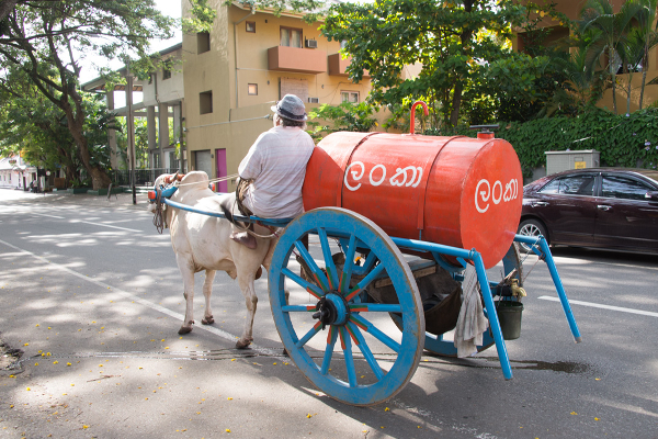 யாழ்.குடாநாட்டிலும்  மண்ணெண்ணெய் விநியோகம்! | Kerosene Distribution In Jaffna