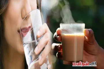 டீ குடிக்கும் போது தண்ணீர் குடிக்கலாமா? அல்லது எப்போது தண்ணீர் குடிக்கலாம்?