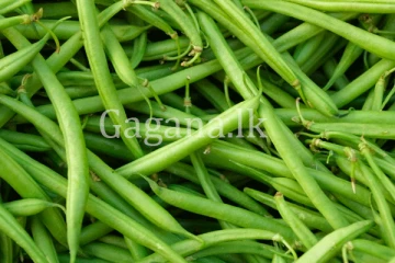 බෝංචි මිලෙහි විශාල වෙනසක්. - කිලෝවක ගාන කීයද කියලා දන්නවද?