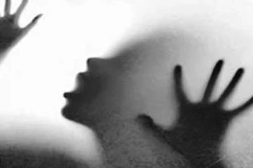 සේවිකාවන් තිදෙනෙකුට අතවර කරලා..