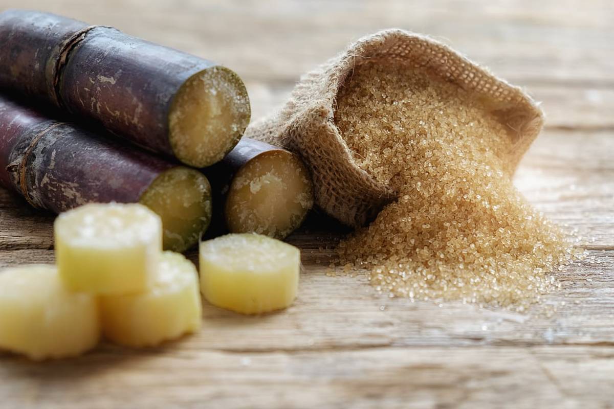 கரும்பு மீள்நடுகைத் திட்டம் மீண்டும் கிளிநொச்சியில் ஆரம்பம் | Sugarcane Replanting Project Begins Again