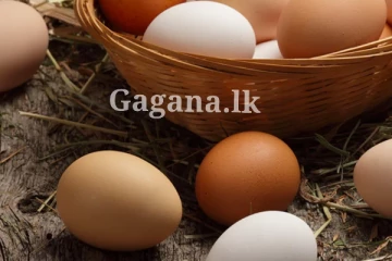 බිත්තර මිල එකපාරටම වෙනස් වෙයි - හෙට ඉඳලා මෙන්න මේ ගානට ගන්න වෙන්නේ..