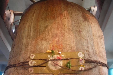 வேகமாக வளர்ந்து வரும் அதிசய சிவலிங்கம் - பக்தர்கள் ஆச்சர்யம்!