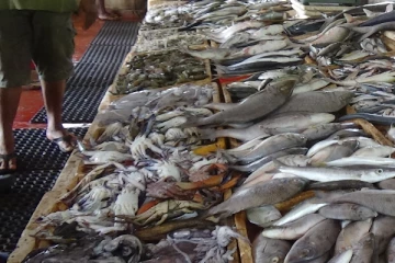 கடலுணவுகளின் விலையில் ஏற்பட்ட சடுதியான அதிகரிப்பு