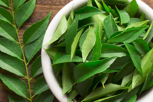 முடி காடு மாதிரி கிடு கிடுனு அடர்த்தியா வளரனுமா?  இதை தலையில தேய்ங்க அதிசயம் நடக்கும் | Does Hair Grow Thicker Rub This On The Head