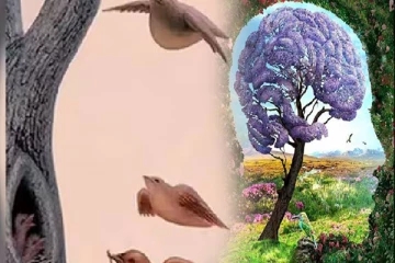 உங்கள் ஆளுமையை வெளிப்படையாக கூறும் புதிர் படங்கள்