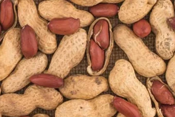 வேர்க்கடலை அதிகம் சாப்பிட்டால் இந்த பிரச்சினை வருமாம்! ஜாக்கிரதையாக இருங்க