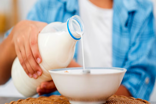 மாட்டு பாலை போன்று பாக்கெட் பாலையும் கொதிக்க வைக்கணுமா? | Should You Boil Packet Milk Like Cow S Milk