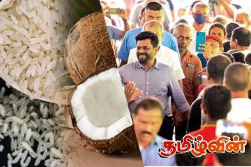 அரிசி மற்றும் தேங்காய் பிரச்சினை! அநுர அரசாங்கம் தொடர்பான சாத்தியப்படாத எண்ணங்கள்
