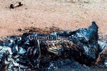 ලදු කැලෑවක තිබී හමු වූ ඇඟ හිරිවැටෙන දේ...