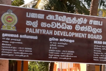 තල් සංවර්ධන මණ්ඩලයේ සභාපති ඉල්ලා අස්වෙයි