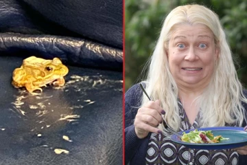 தொலைக்காட்சி பார்த்துக்கொண்டே சாப்பிட்டுக்கொண்டிருந்த பெண்: தட்டில் இருந்த உயிரினத்தைக் கண்டு அலறியடித்து ஓட்டம்