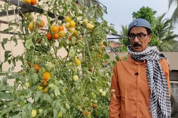 மறைந்த நடிகர் மனோபாலாவின் மாடித்தோட்டம்!