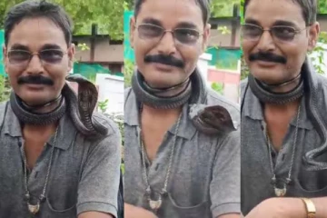 பாம்பைக் கழுத்தில் போட்டு காணொளி எடுத்தவருக்கு நேர்ந்த கதி