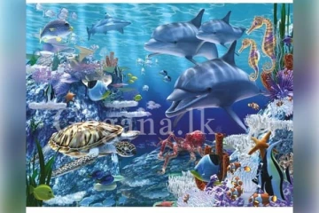 සමුද්‍ර ක්ෂීරපායී සතුන් දැඩි ජීවිත අවදානමක..