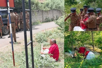 யாழில் தையிட்டியில் கைதான 9 பேரும் பிணையில் விடுதலை!