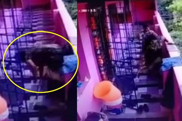 எலியை அடிக்க துரத்திய பெண் மகன் கண் முன்னே செத்து மடிந்த அவலம்! நெஞ்சை உறைய வைத்த காட்சி | Viral Video News