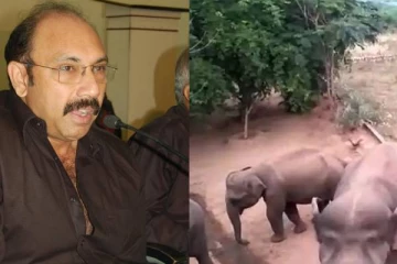 நடிகர் சத்யராஜ் சகோதரியின் பண்ணை வீட்டை சுற்றி போட்ட யானைகள்! பின்பு நடந்தது? பயத்தை கிளப்பிய புகைப்படங்கள்