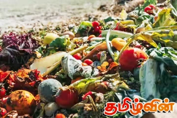 வெயங்கொடையில் களஞ்சியப்படுத்தப்பட்டுள்ள அழுகிய நிலையிலுள்ள உணவுப் பொருட்கள்!