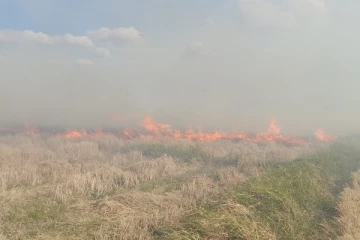 அறுவடை செய்யப்பட்ட நிலங்களுக்கு தீ வைக்கப்பட்டதால் ஏற்பட்ட புகை - பலர் சிரமம்