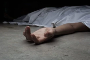 සිය මව ඝාතනය කළ, නළු පුතෙකුට ලැබුණ දඬුවම..