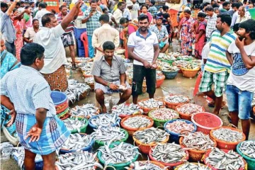 காசிமேட்டில் மீன் வரத்து அதிகரிப்பால் விலை குறைவு - ஆர்வமுடன் குவிந்த பொதுமக்கள்
