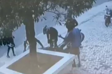 සුනඛයකුගේ දිවි බේරීමට ගොස් ජීවිතය හැර ගිය හමුදා නිලධාරියා - (CCTV VIDEO)