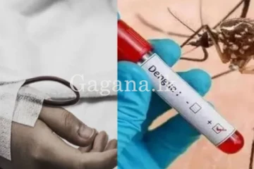 ගත වූ පළමු දින 20 තුළ ඉහළ ගිය ඩෙංගු මරණ සහ රෝගීන් ගණන මෙන්න.