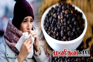 குளிர்காலத்தில் உதவி கரம் நீட்டும் கருப்பு மிளகு- யாரெல்லாம் சாப்பிடலாம்?