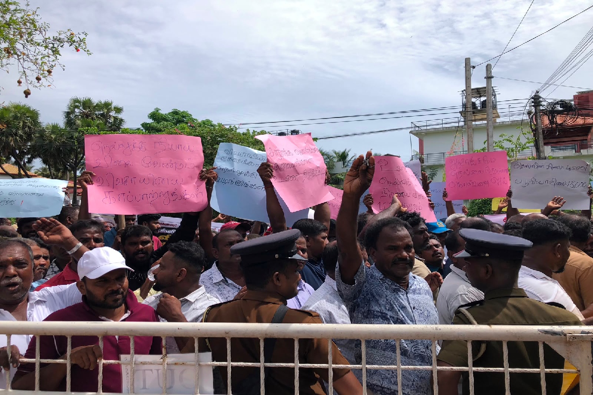 நெல் விலையை அதிகரிக்க கோரி மட்டக்களப்பில் விவசாயிகள் பாரிய ஆர்ப்பாட்டம் | Farmers Protest In Batti Increase Paddy Prices நெல் விலையை அதிகரிக்க கோரி மட்டக்களப்பில் விவசாயிகள் பாரிய ஆர்ப்பாட்டம் | Farmers Protest In Batti Increase Paddy Prices